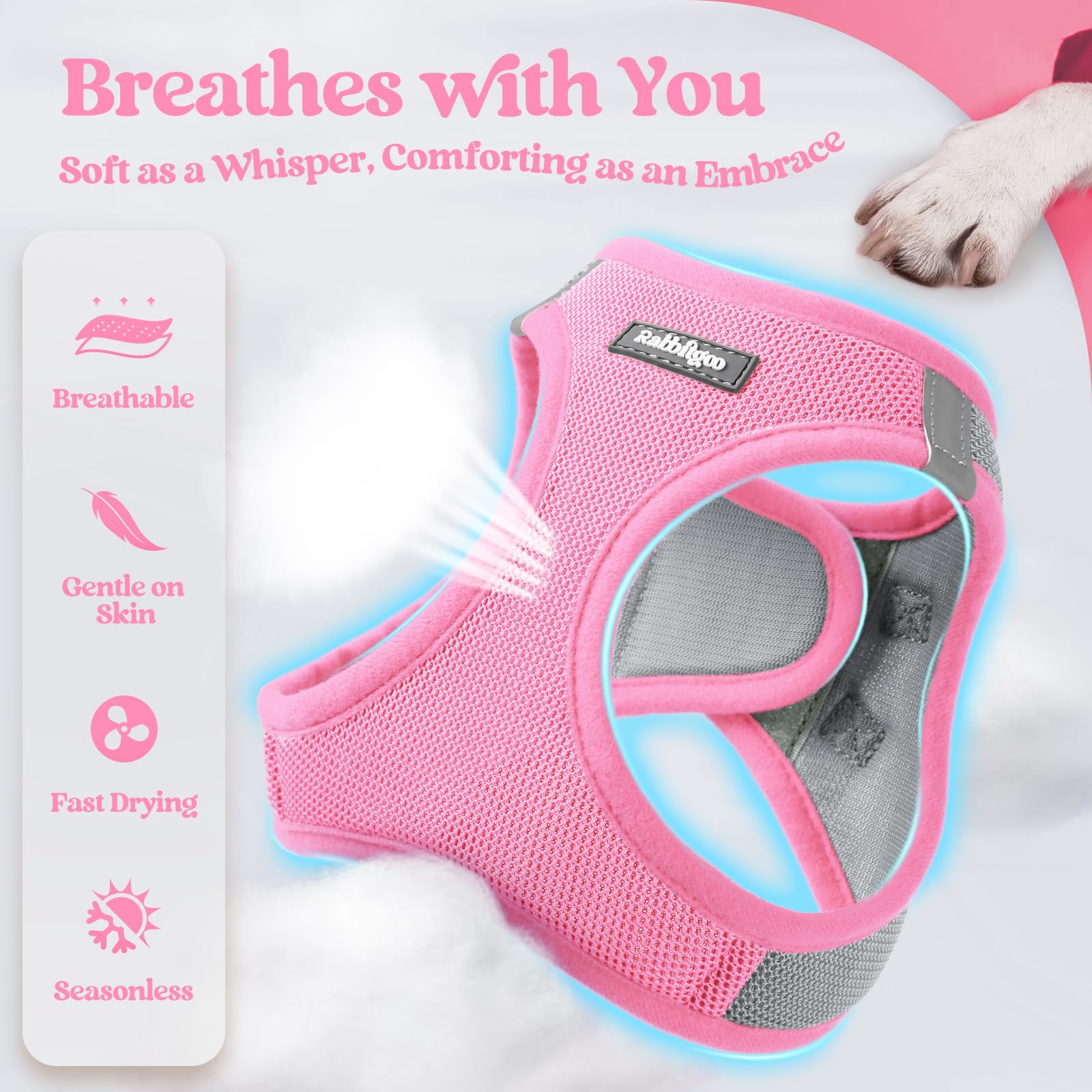 Rabbitgoo reflective leash showing visibility for night walks.