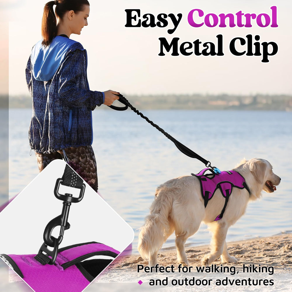 Rabbitgoo reflective strips boost visibility during dusk walks.