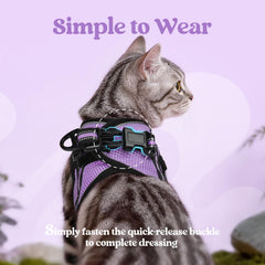 Rabbitgoo reflective strip enhances visibility at dusk and dawn
