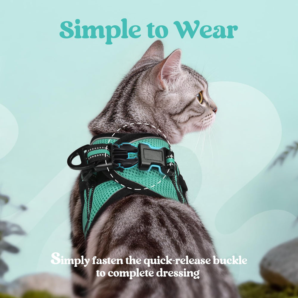 Reflective strip on Rabbitgoo harness enhances visibility during dusk walks.