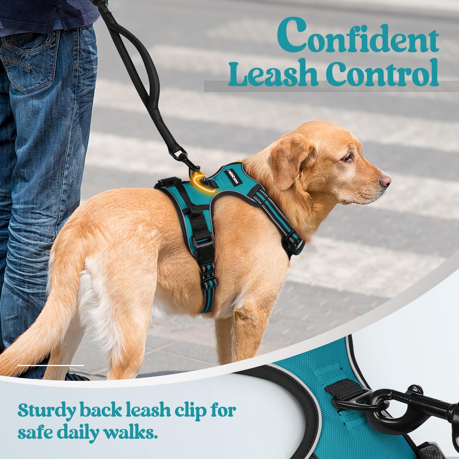 Rabbitgoo reflective strips boost visibility during dusk walks