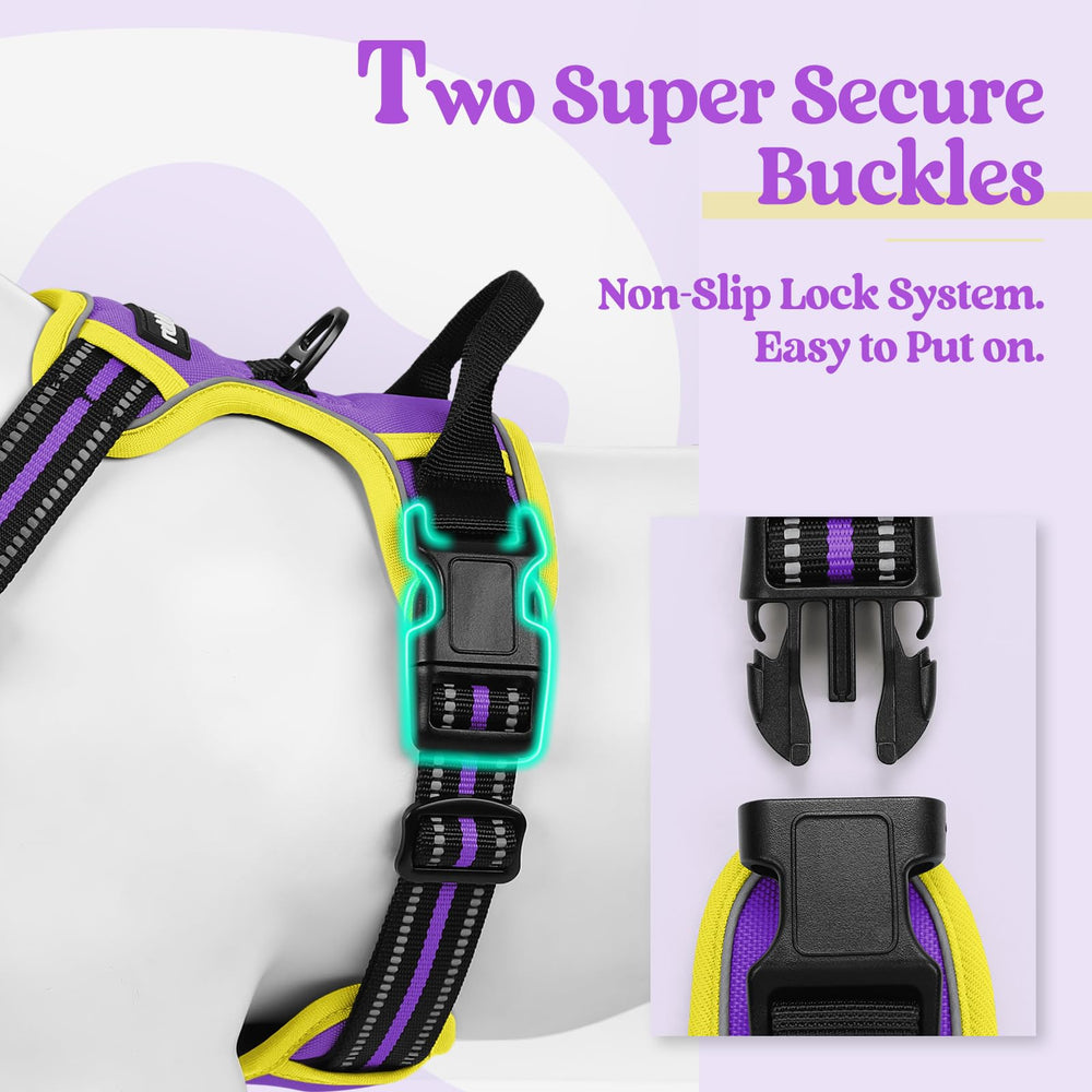 Rabbitgoo reflective strips enhance visibility during evening walks.