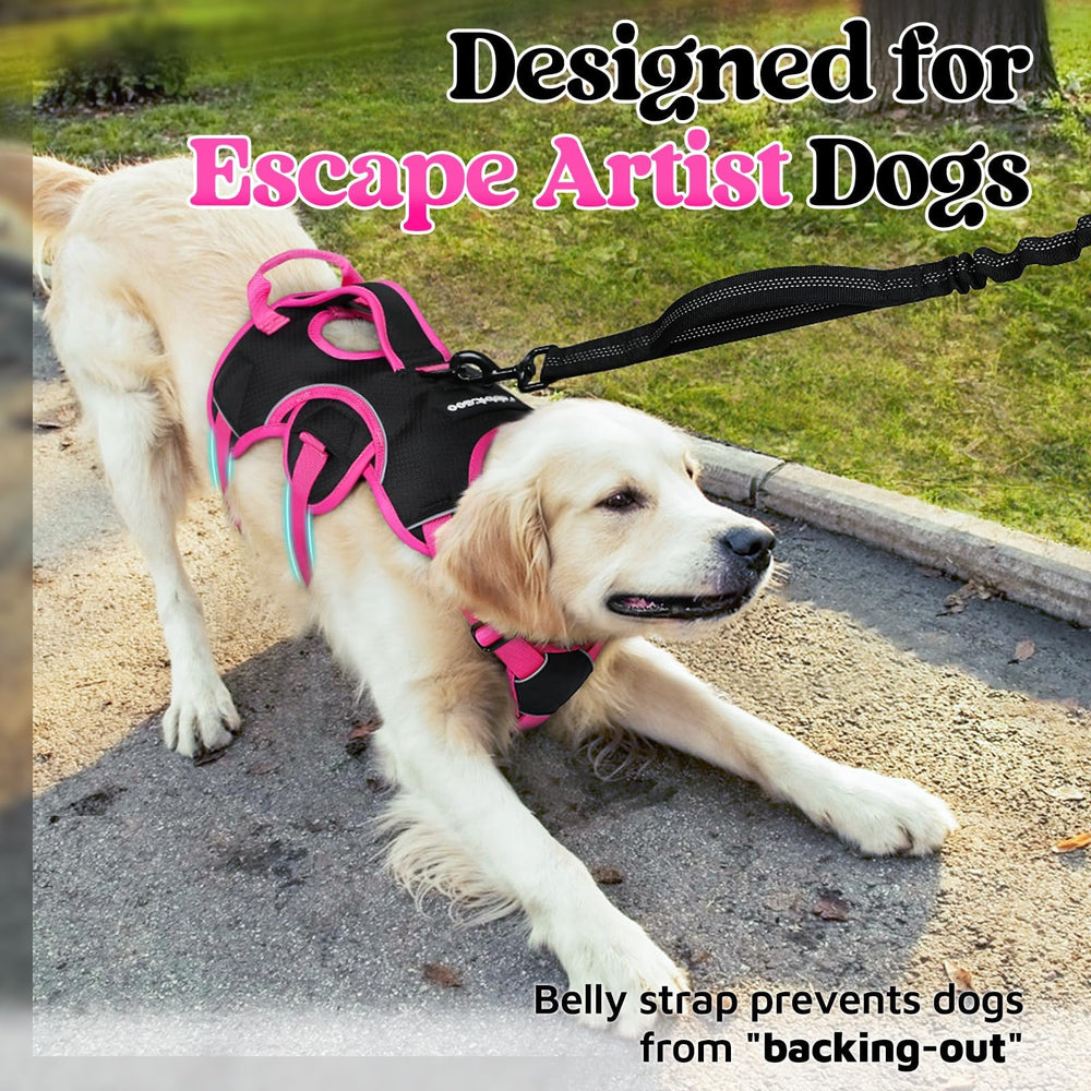 Rabbitgoo reflective strips improve visibility for night walks.