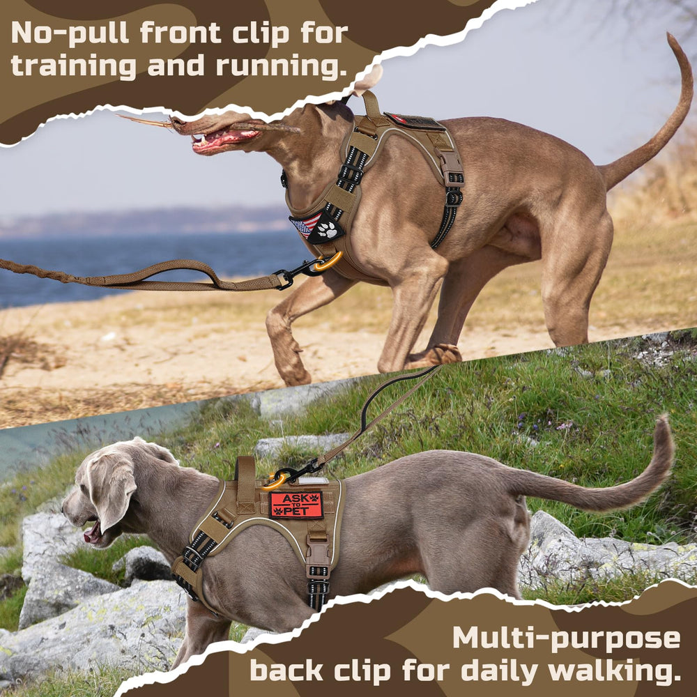 Rabbitgoo reflective trims boost visibility for safer dusk or night walks.