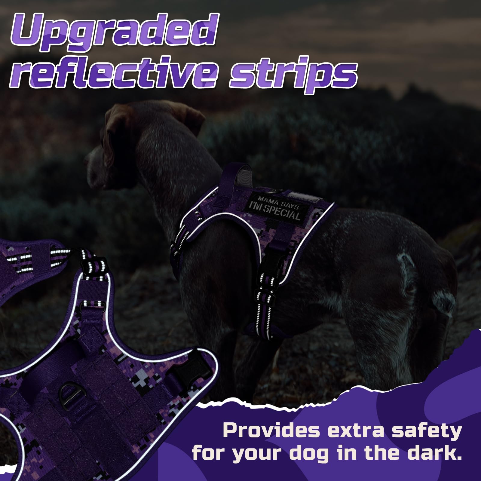 Rabbitgoo reinforced handle with padding aids car transfers safely