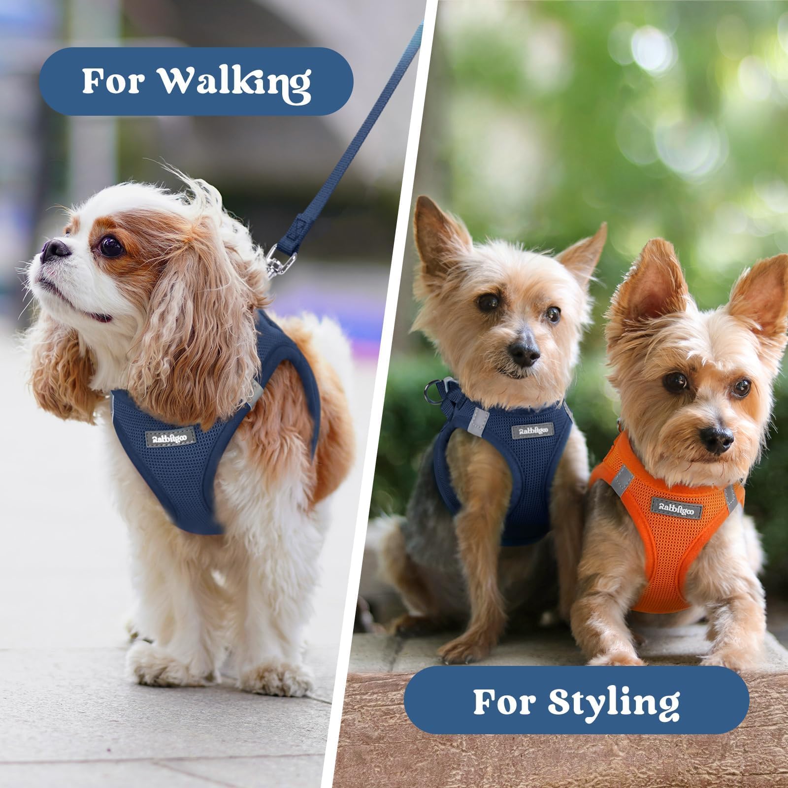 Rabbitgoo secure closures image emphasizing reliable fastenings during play.