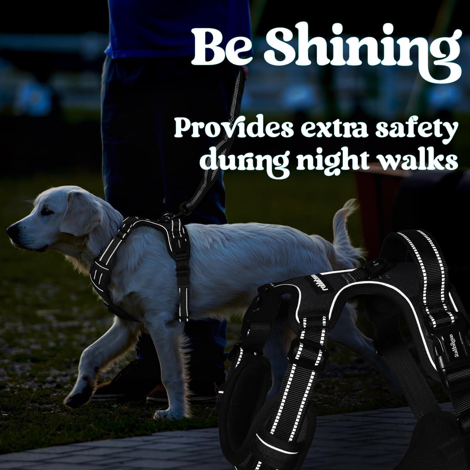Rabbitgoo lockable neck buckle adds security during walks