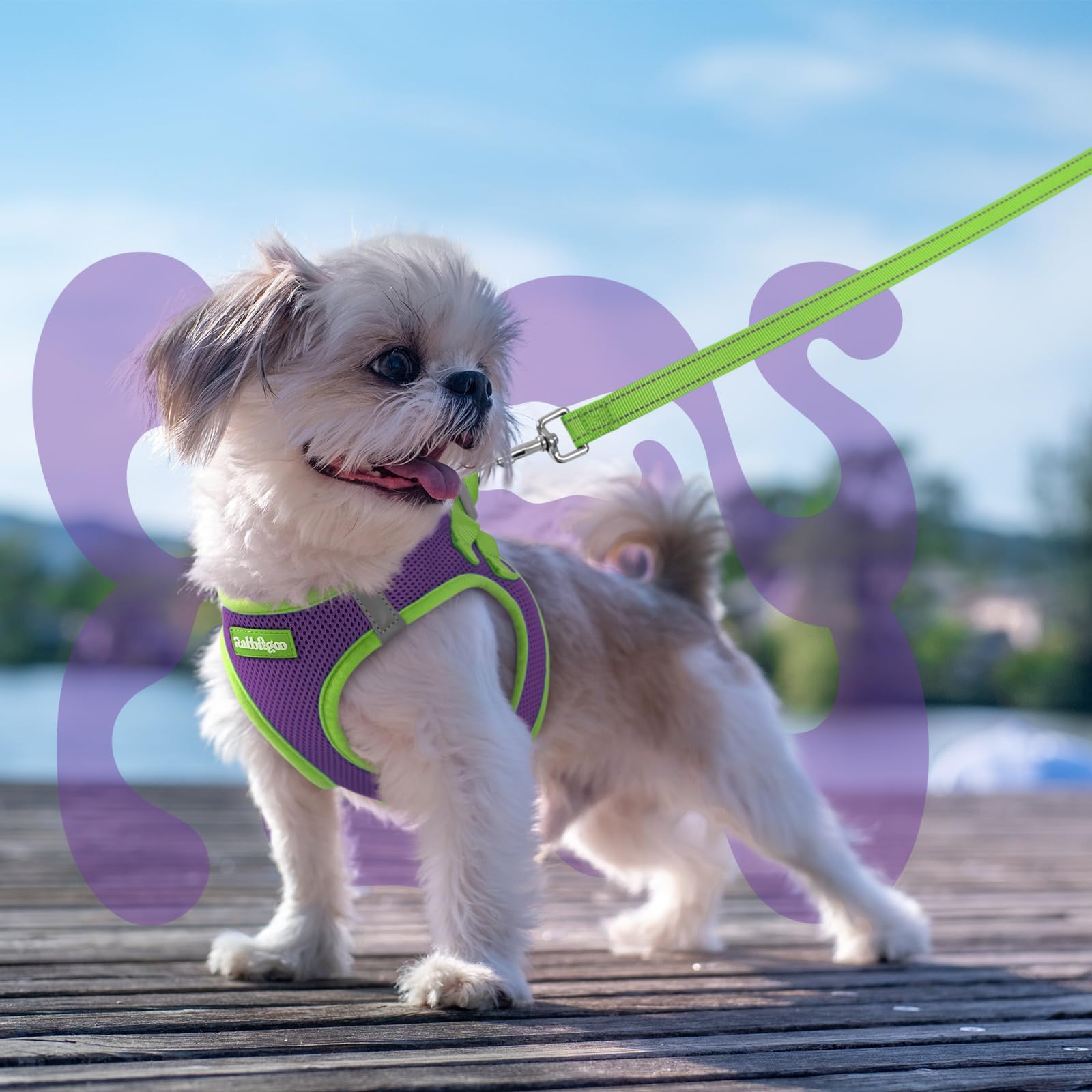 Rabbitgoo size chart guide helps measure for a perfect fit