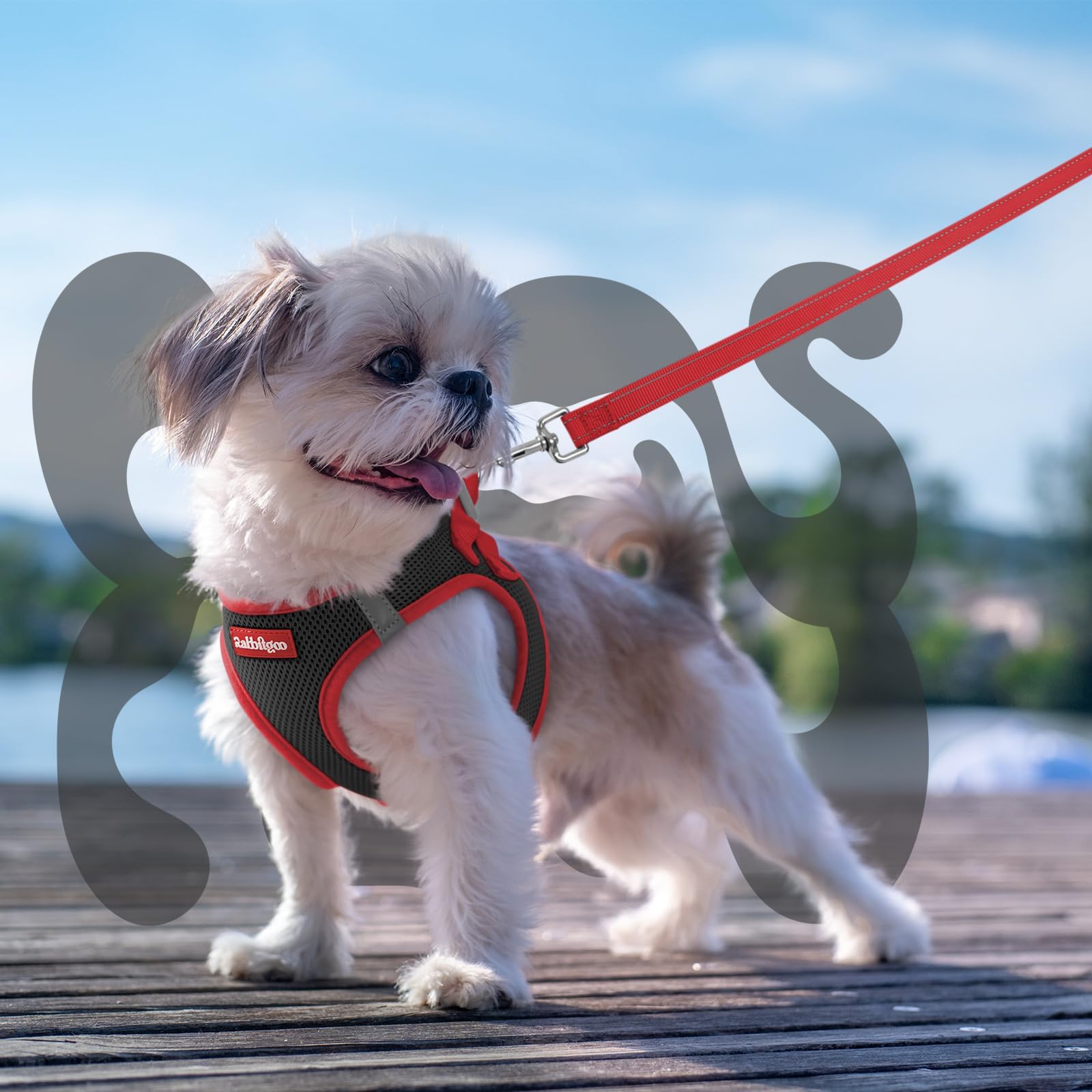 Rabbitgoo size chart XS helps measure neck and chest accurately.