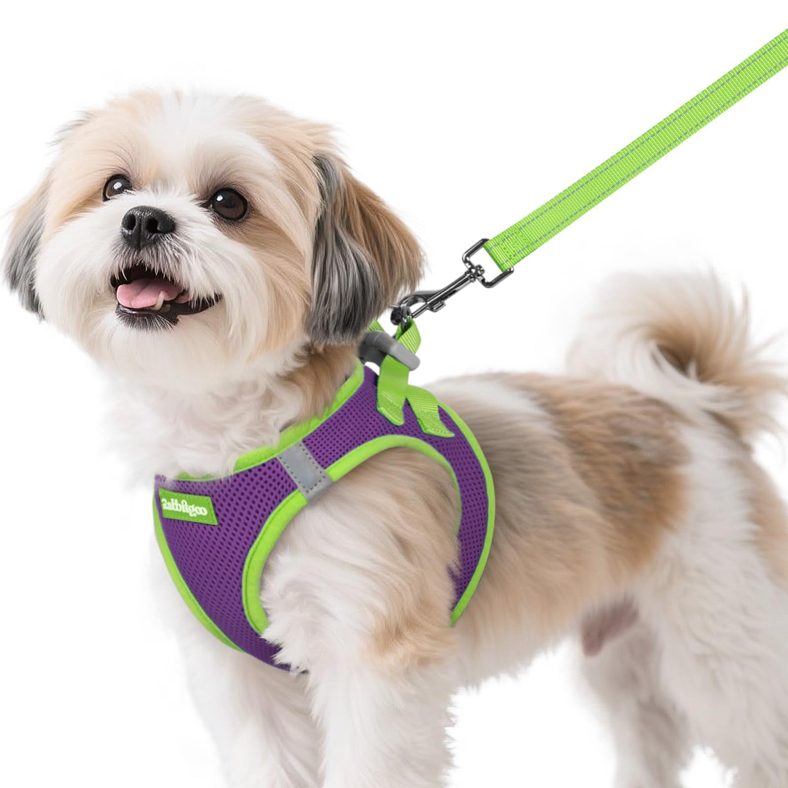 Rabbitgoo small breathable harness vest for dogs, keeps your pet cool on walks