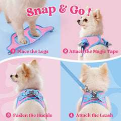 Rabbitgoo small dog harness breathable light blue for cool all-day wear