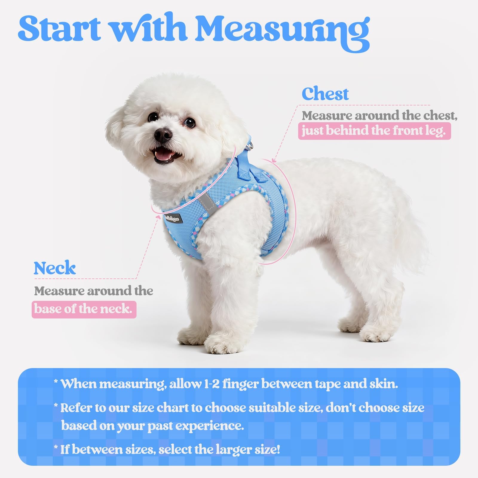 Rabbitgoo small dog harness with breathable mesh keeps pets cool during walks.