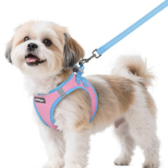 Rabbitgoo small dog harness breathable pink for daily walks and comfort
