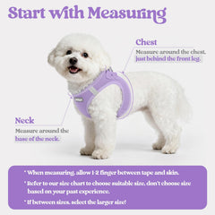 Rabbitgoo small dog harness and leash set with reflective bands for safer outings