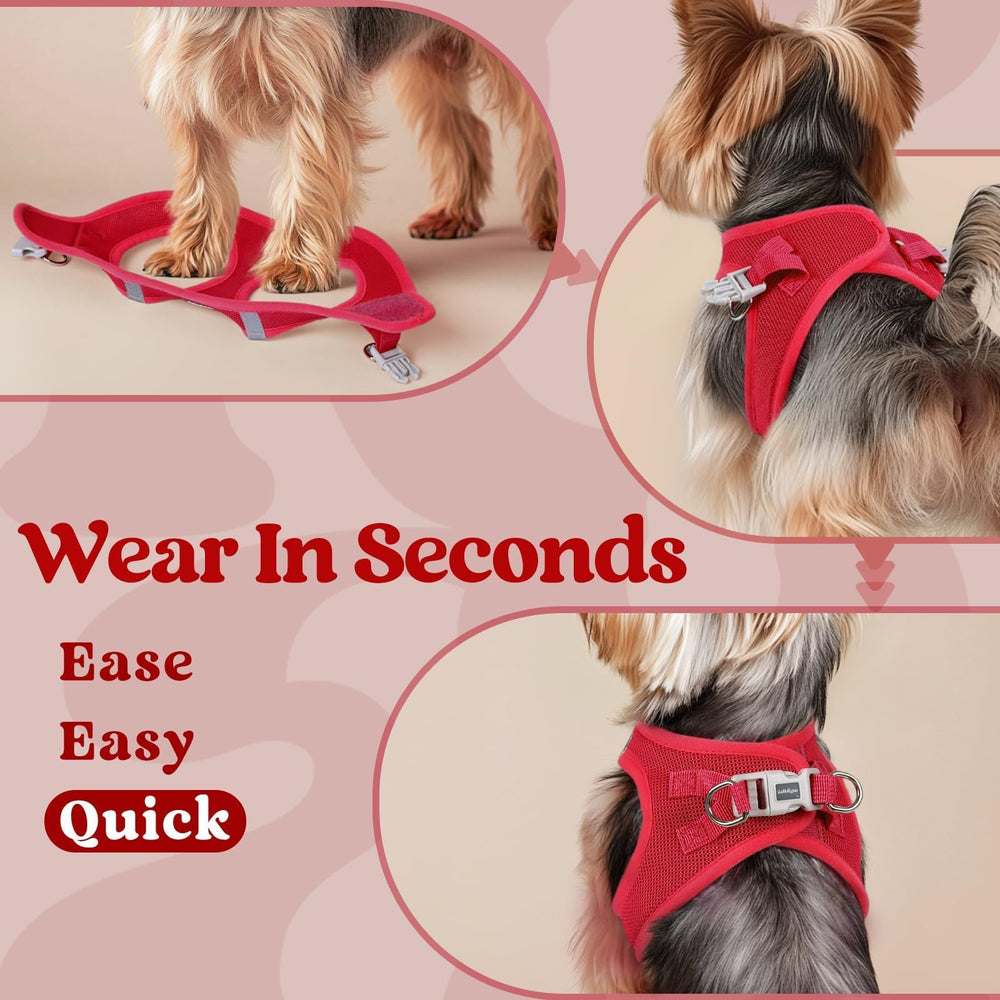 Rabbitgoo lightweight harness provides comfortable, non-bulky fit for petite breeds.
