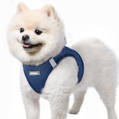 Rabbitgoo small dog harness navy blue, step-in design for easy wearing during walks