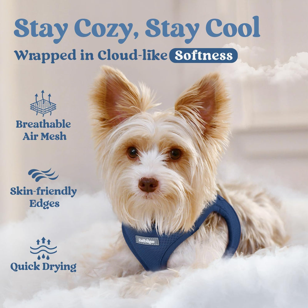 Rabbitgoo harness quick-dry fabric supports active outings with dryness and comfort.