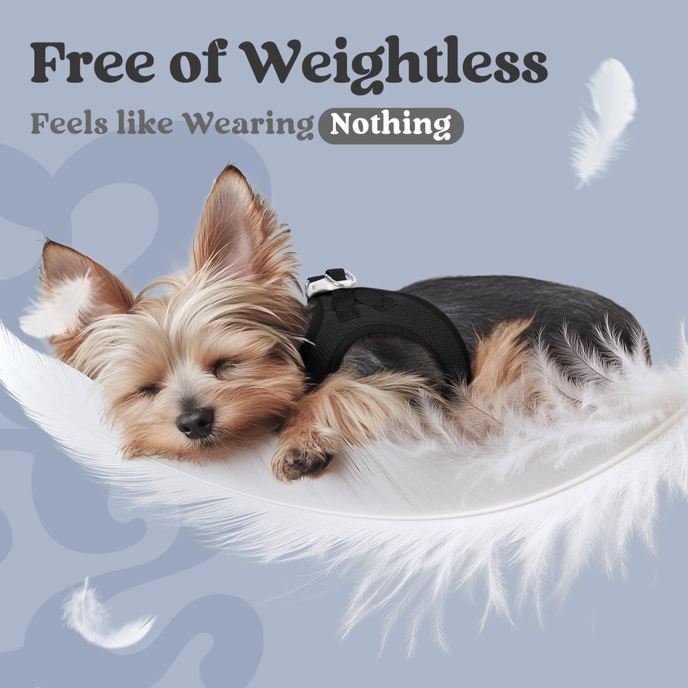 Rabbitgoo small dog harness reflective trim enhances visibility.