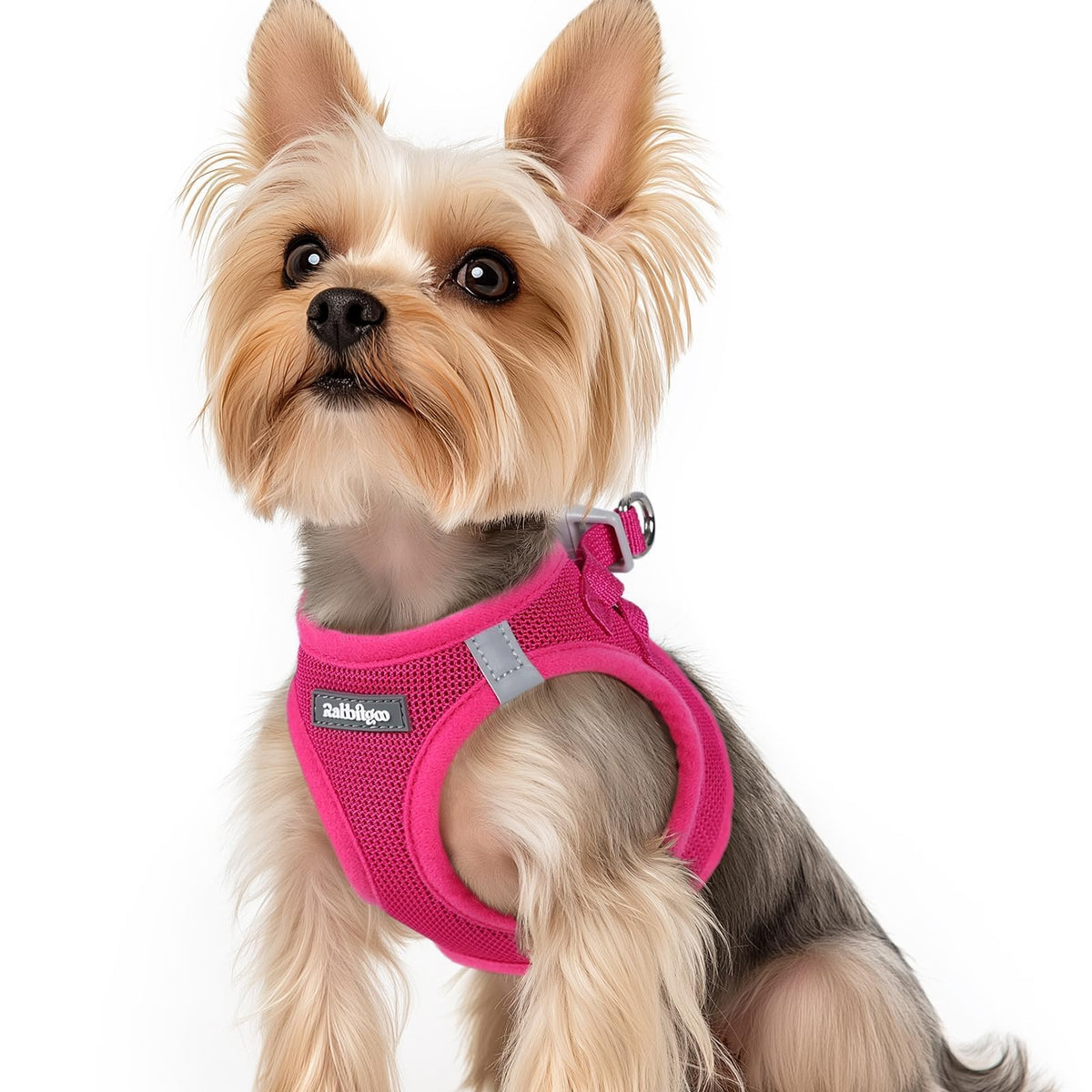 Rabbitgoo rose red step-in harness for quick secure wearing