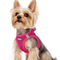 Rabbitgoo rose red step-in harness for quick secure wearing