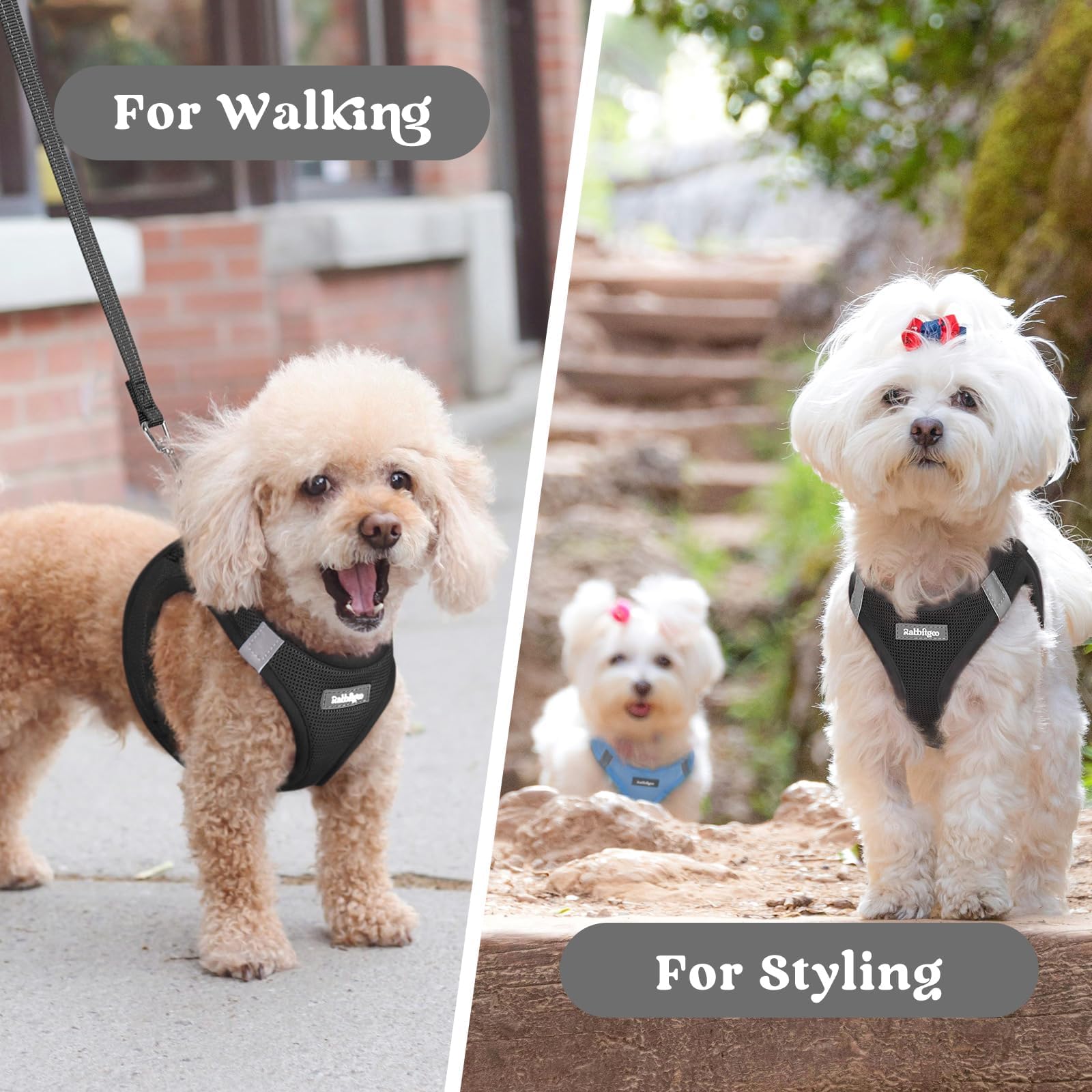 Rabbitgoo small dog harness soft elastic strap supports wiggle-free fitting.