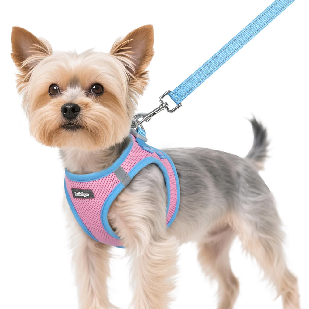 Rabbitgoo small dog harness step-in breathable design for comfy daily walks