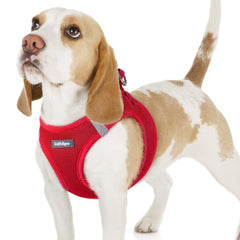 Rabbitgoo small dog harness with step-in design for quick on-the-go walks