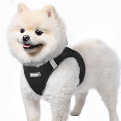 Rabbitgoo small dog harness step-in design for quick secure wearing.
