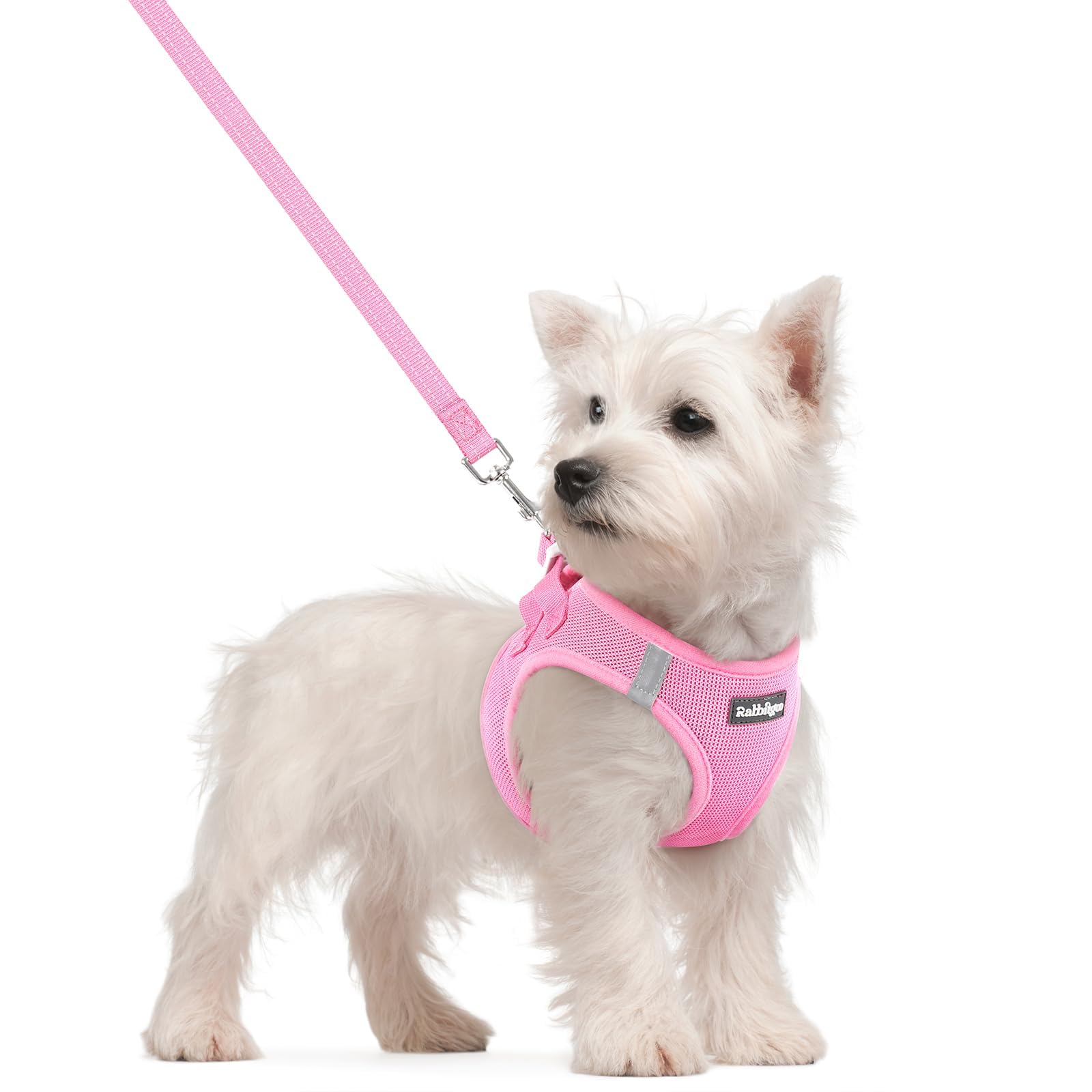 Rabbitgoo small dog harness step-in design in light pink for quick, comfy on walks.