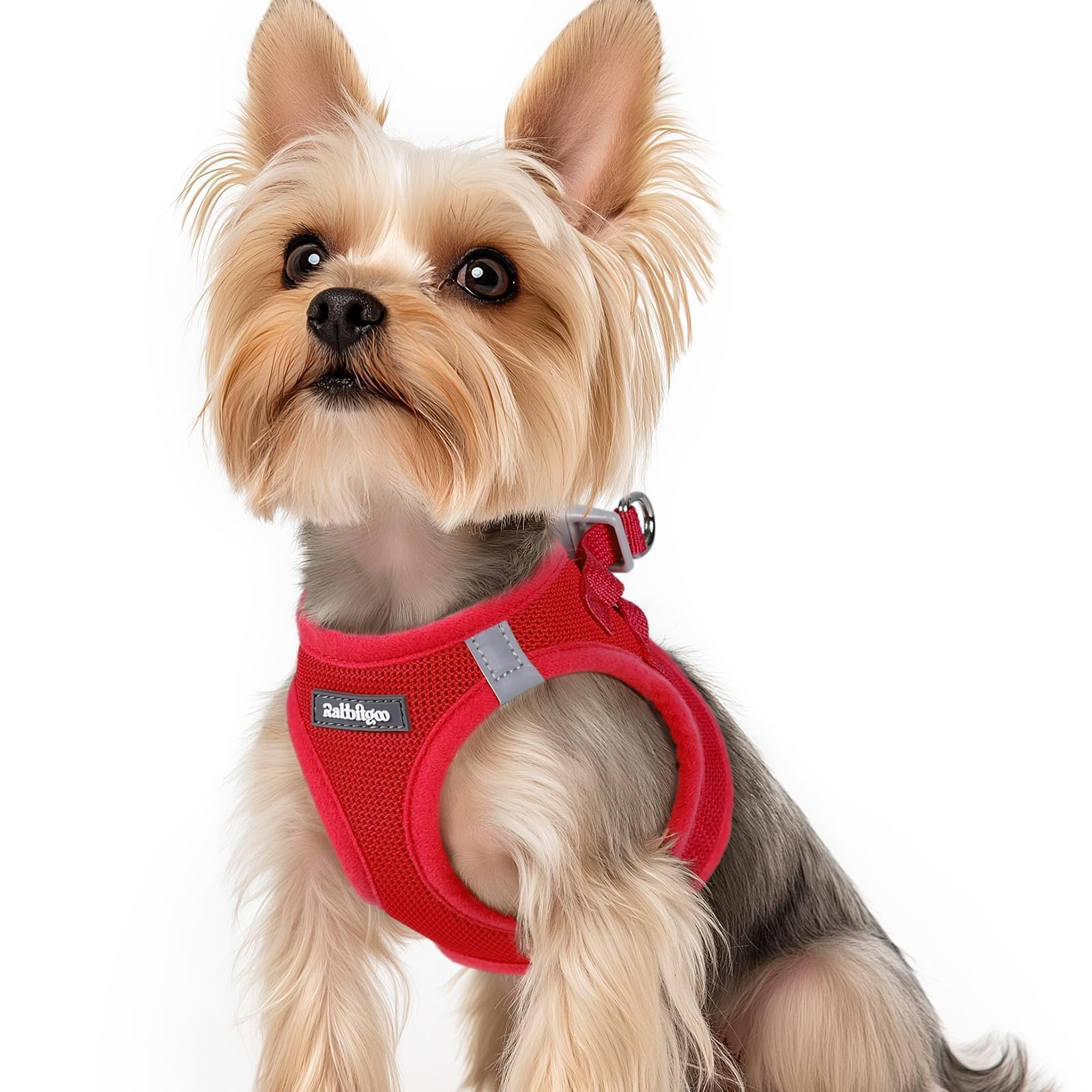 Rabbitgaa step-in mesh harness in red XS for quick, secure on-off wearing.