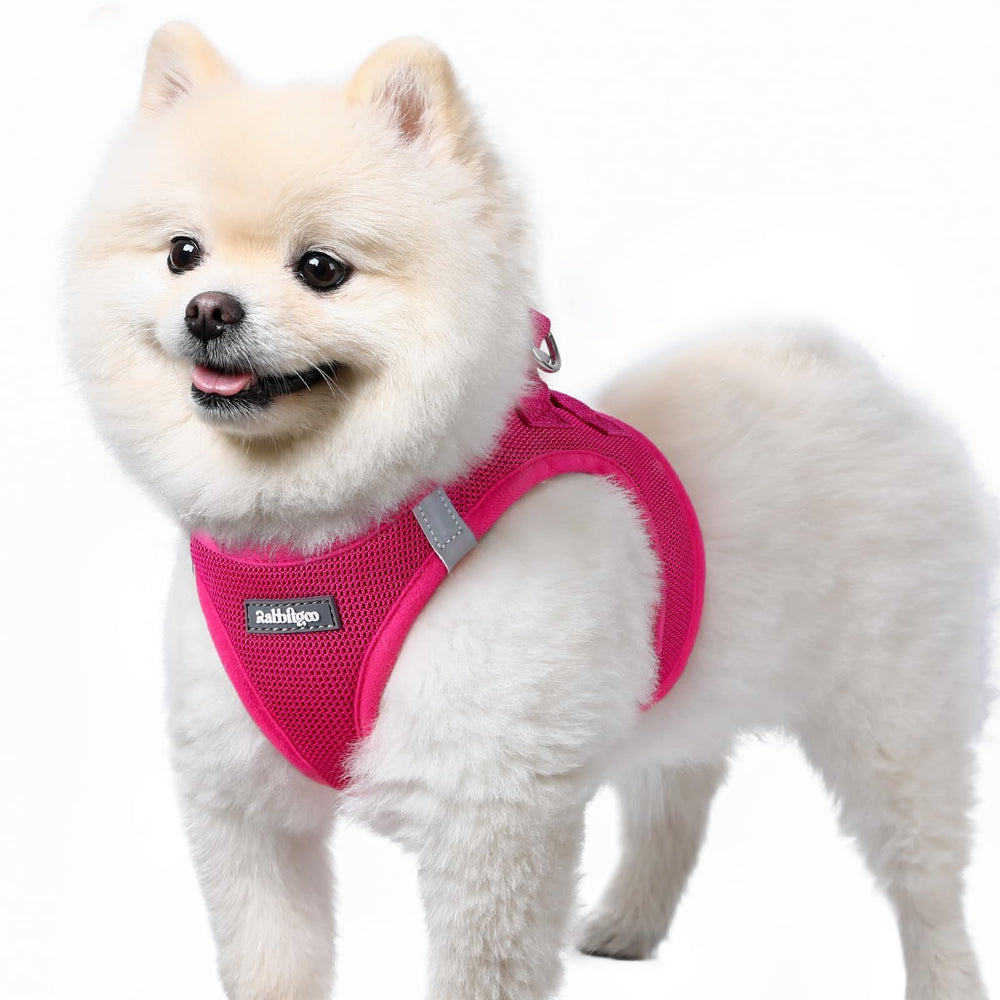 Rabbitgoo small dog harness step-in rose red for easy wearing and secure fit.