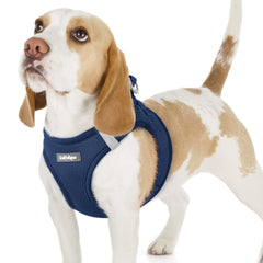 Rabbitgoo small dog harness with step-in soft navy mesh for easy, comfortable walks.