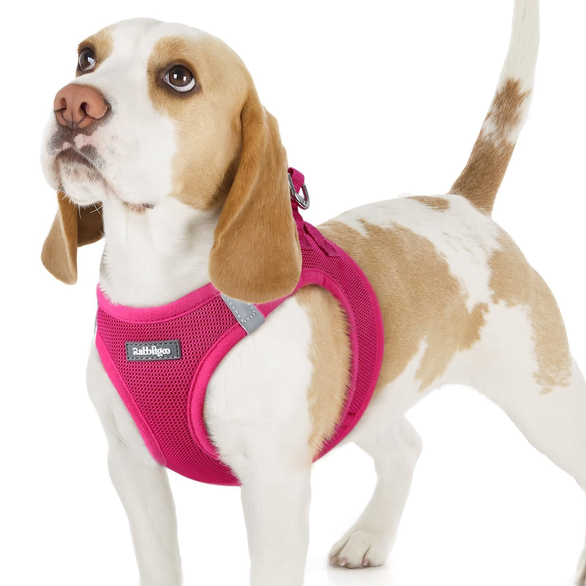 Rabbitgoo small dog harness with step-in design and breathable mesh for comfort