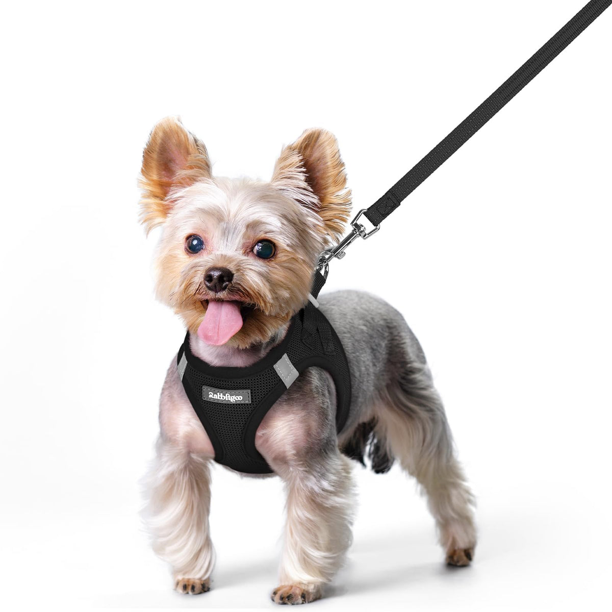 rabbitgoo small dog harness step-in front view, easy wear for daily walks.