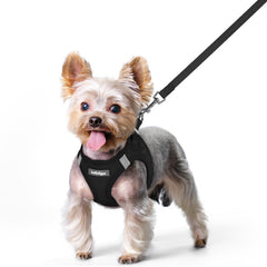 rabbitgoo small dog harness step-in front view, easy wear for daily walks.