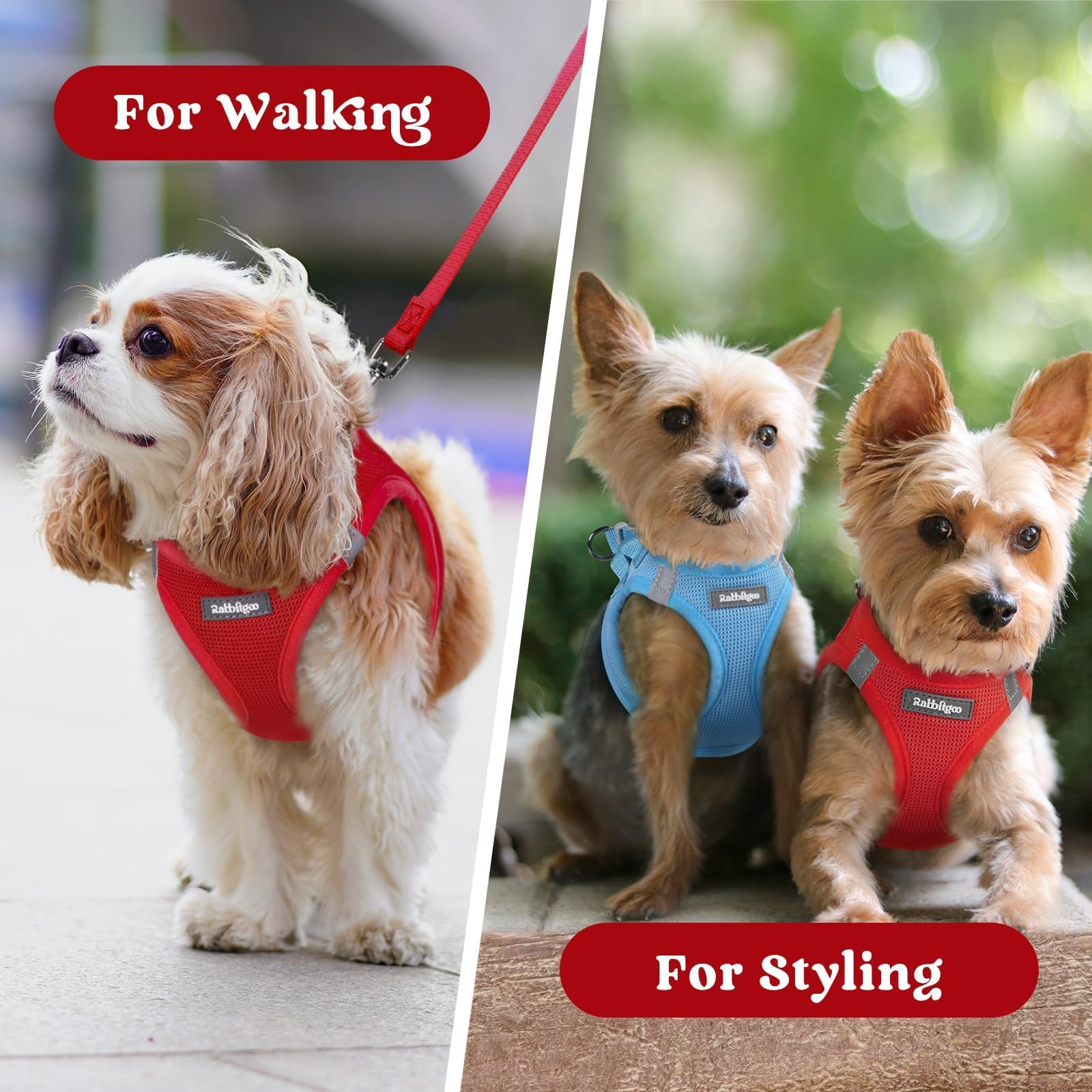Rabbitgoo travel-friendly harness ideal for walks, trips, and playdates.