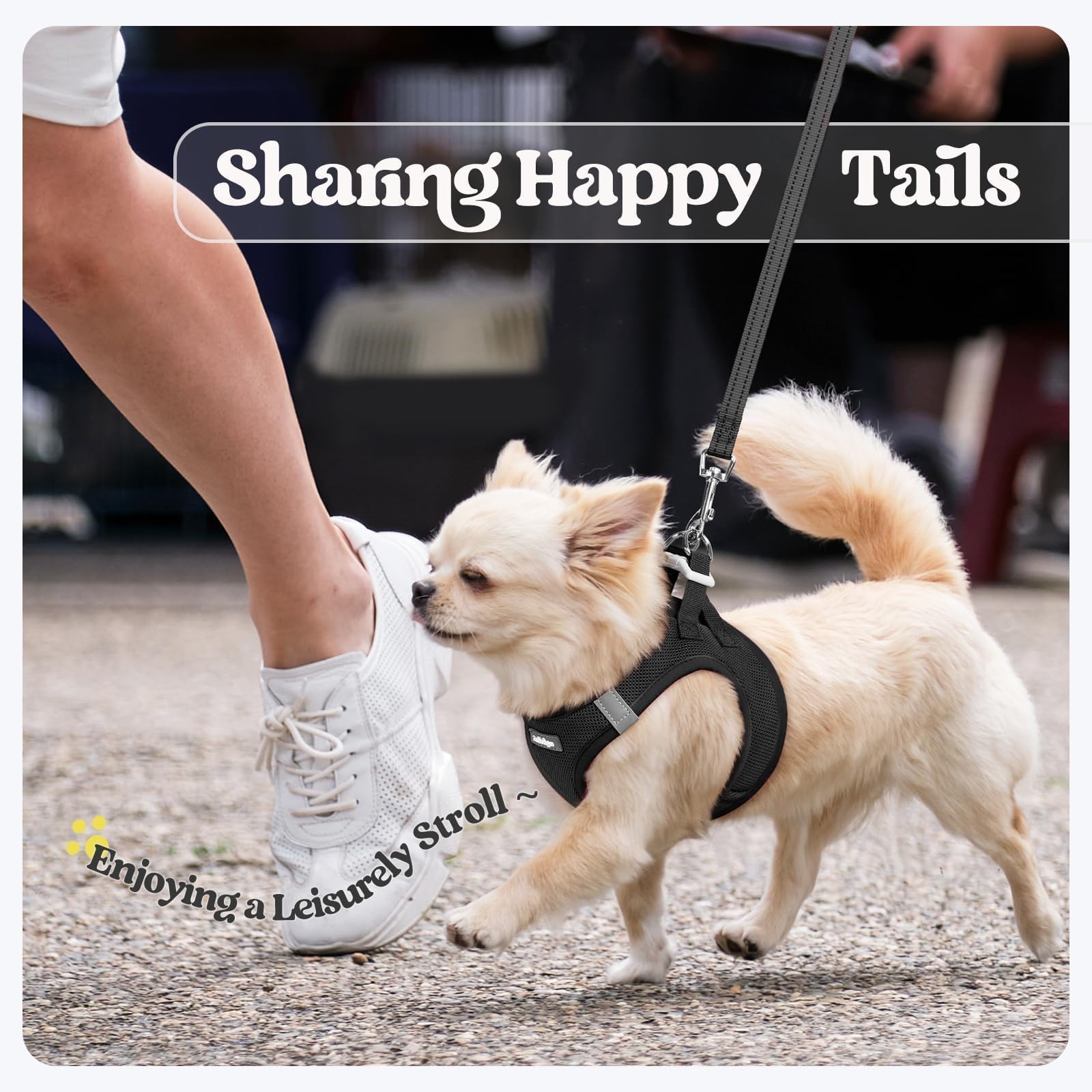 Rabbitgoo small dog harness weighs 0.2 pounds for light wear
