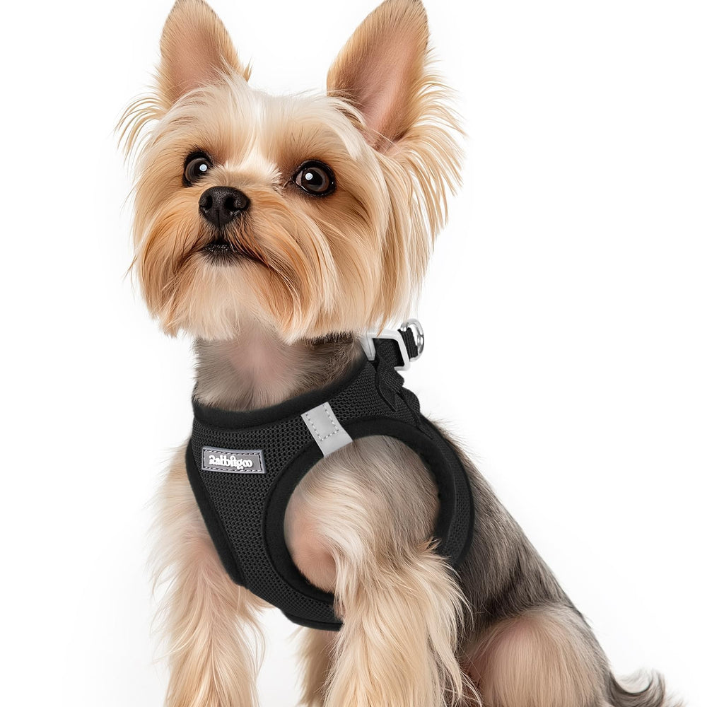 Rabbitgoo XS small dog harness in soft air mesh for breathable comfort