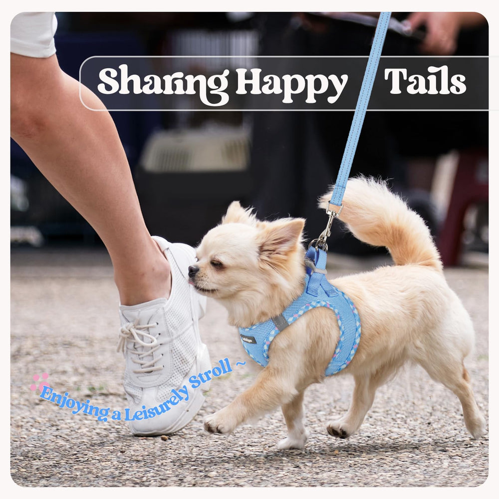 Rabbitgoo blue plaid small dog harness ideal for everyday outdoor use.