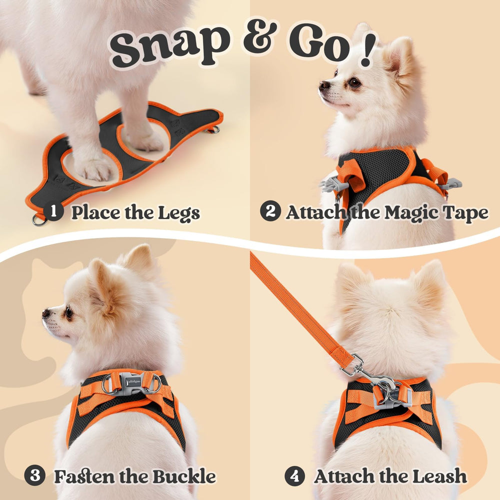 Rabbitgoo size chart helps find a precise fit for small dogs