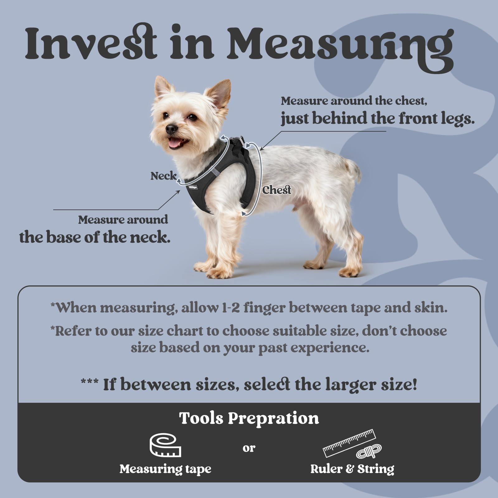 Rabbitgoo soft air mesh fabric keeps tiny dogs comfortable and cool.