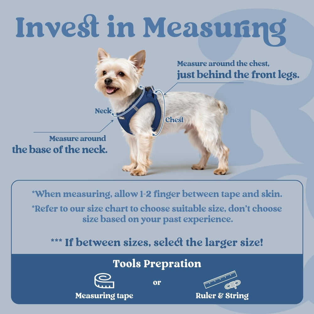 Rabbitgoo soft air mesh harness shows breathable comfort for outdoor walks.