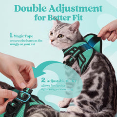Soft air-mesh padding on Rabbitgoo harness offers kitten comfort.