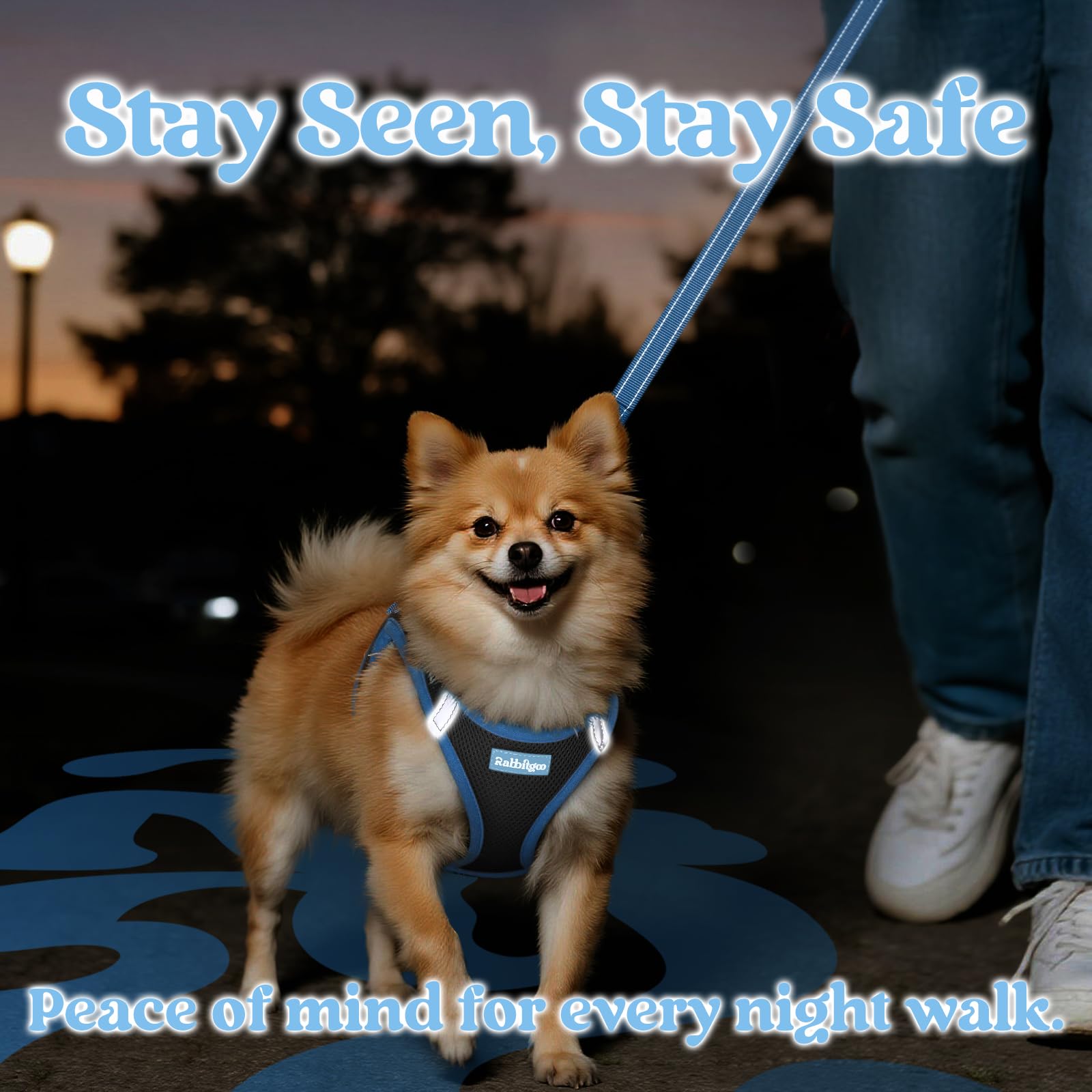 Rabbitgoo soft-cushioned-handle leash for comfortable grip during strolls