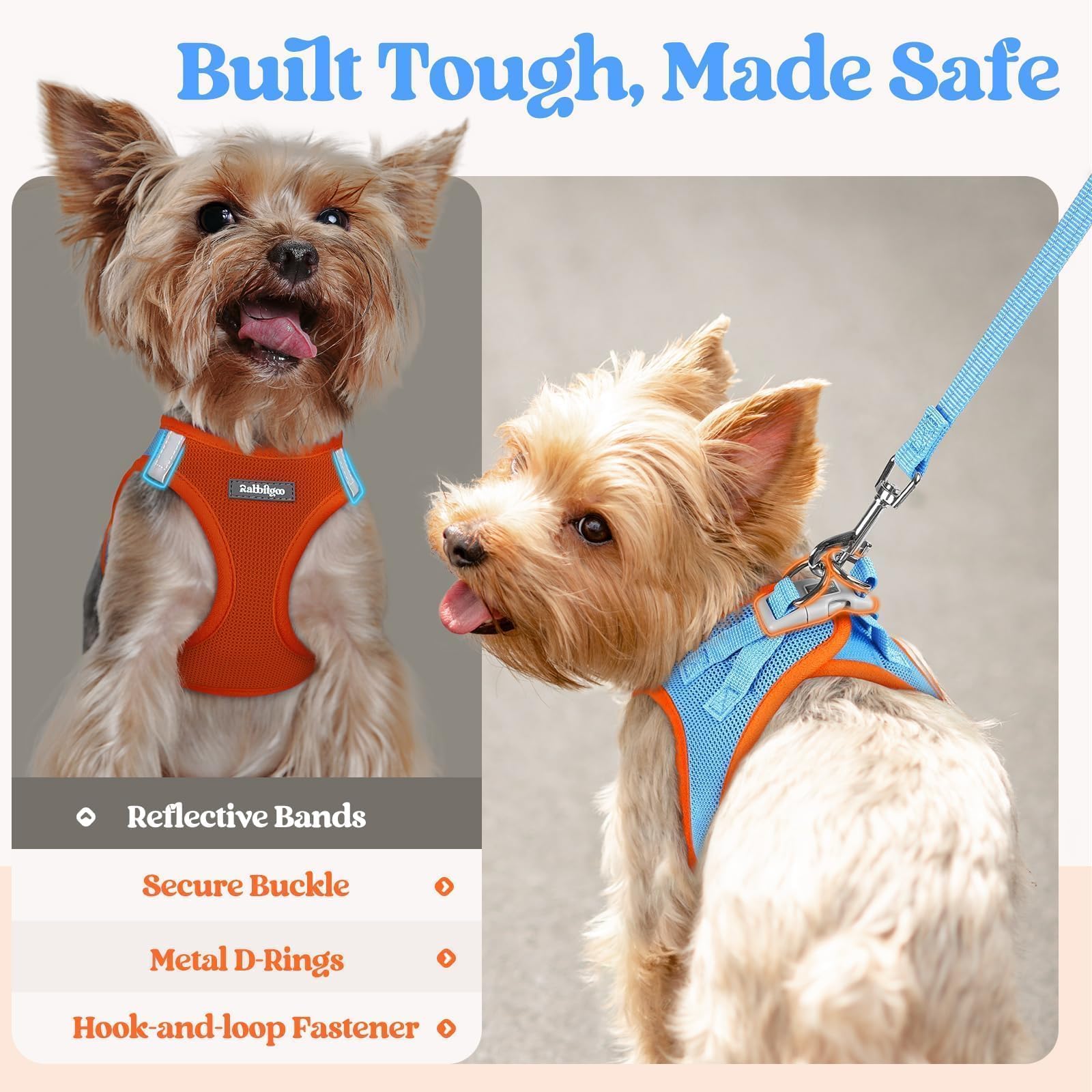 Soft-edged harness with adjustable cinch for a snug fit.