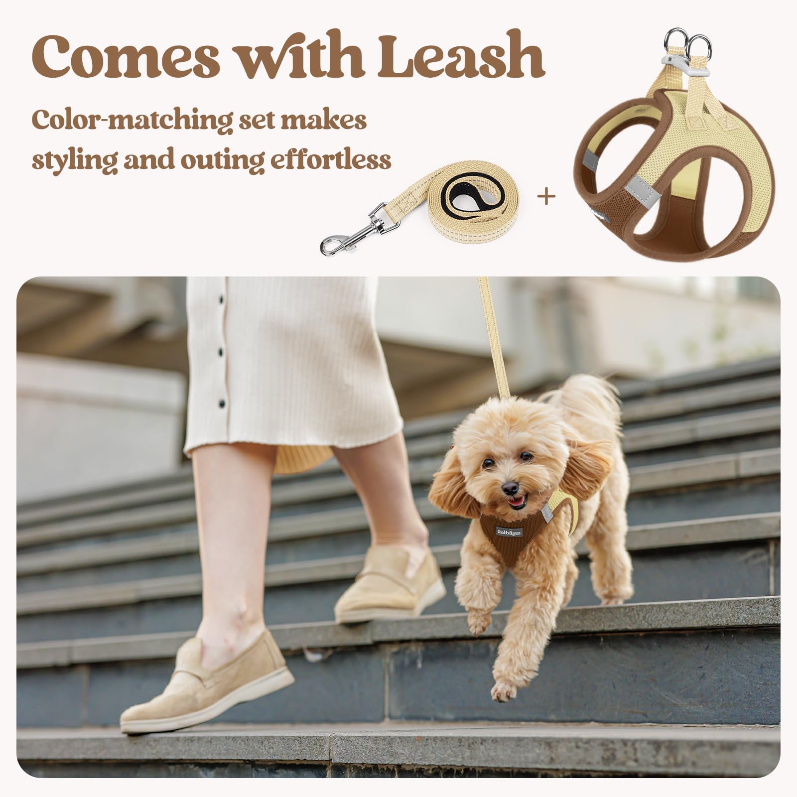 Rabbitgoo soft edges and light weight for comfortable outings