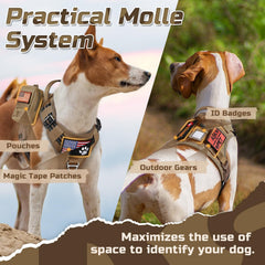 Rabbitgoo soft breathable air mesh padding keeps your dog cool outdoors.