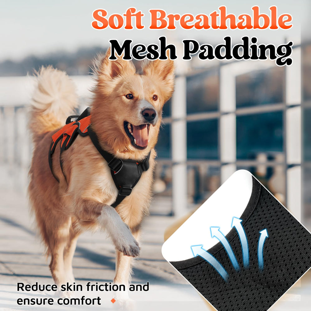 Rabbitgoo soft padded air mesh keeps dogs comfortable on long walks.