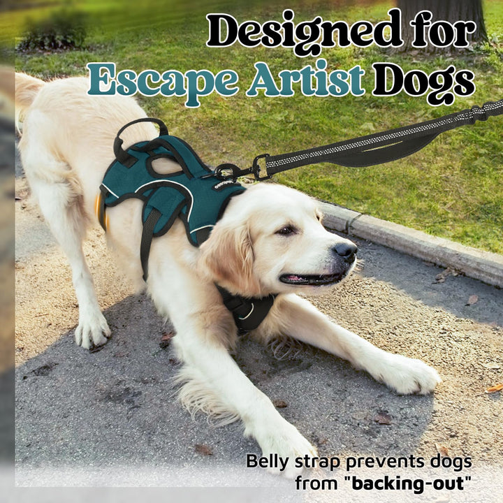 Rabbitgoo soft padded harness close-up showing comfortable neck and chest padding.