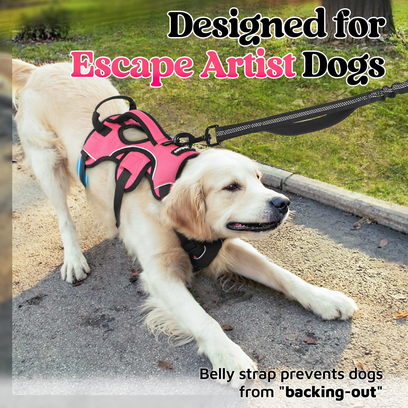 Rabbitgoo soft-padded full-body vest emphasizes comfort on long walks.